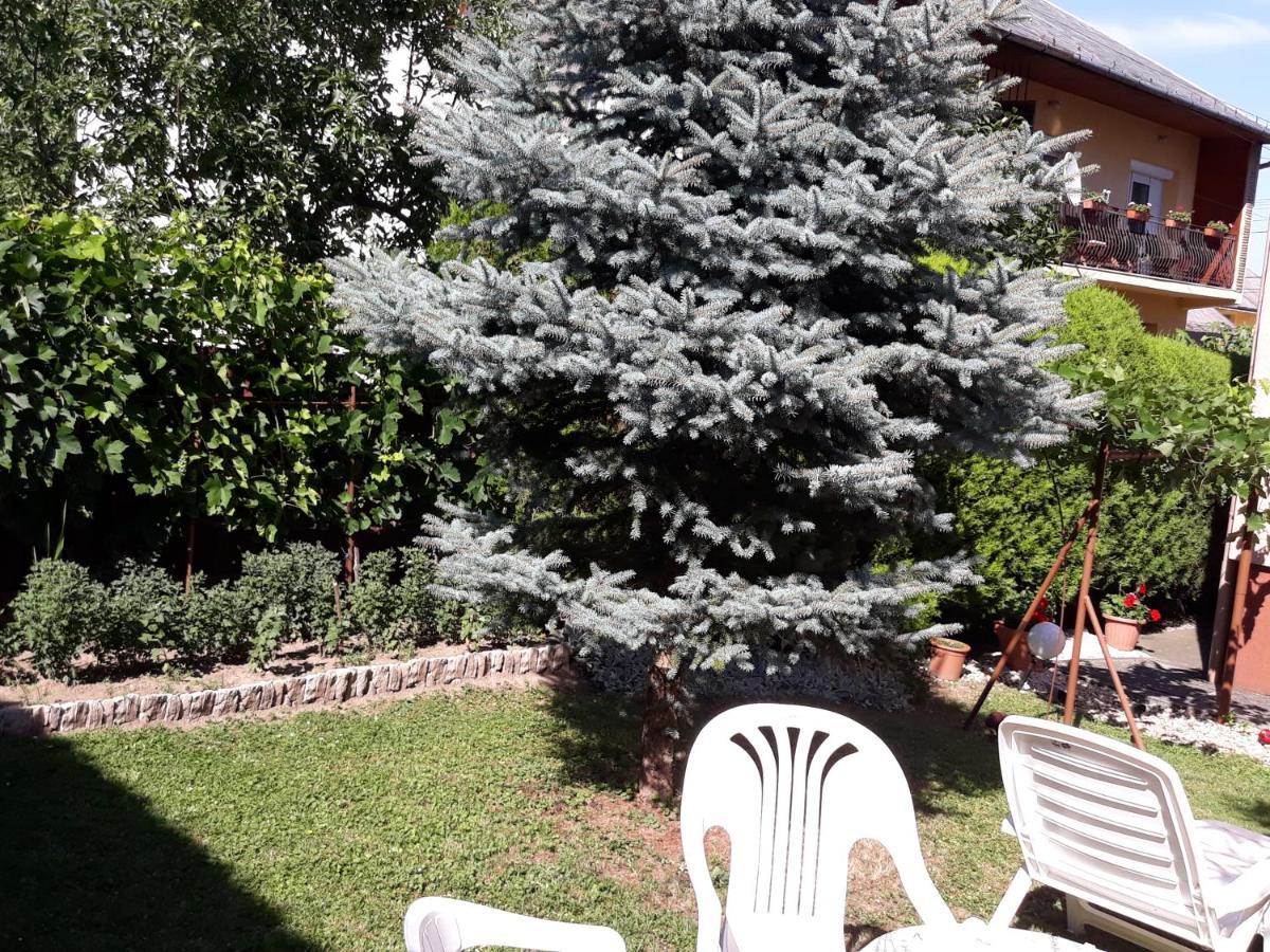 Lazar Apartmanok ヘーヴィーズ エクステリア 写真